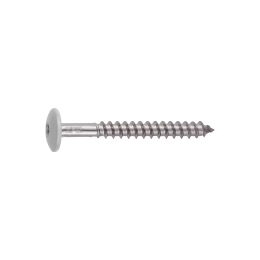 Medsraigtis TW-S-D12 4.8-38 A2/ AISI304 RAL9003 SFS