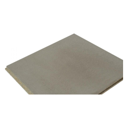CETRIS PLOKŠTĖ PD 20mm 1250x625 mm