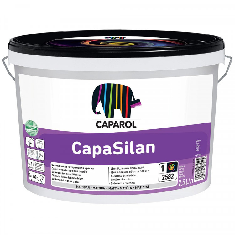 DAŽAI VIDAUS CAPASILAN B1 2.5 L CAPAROL